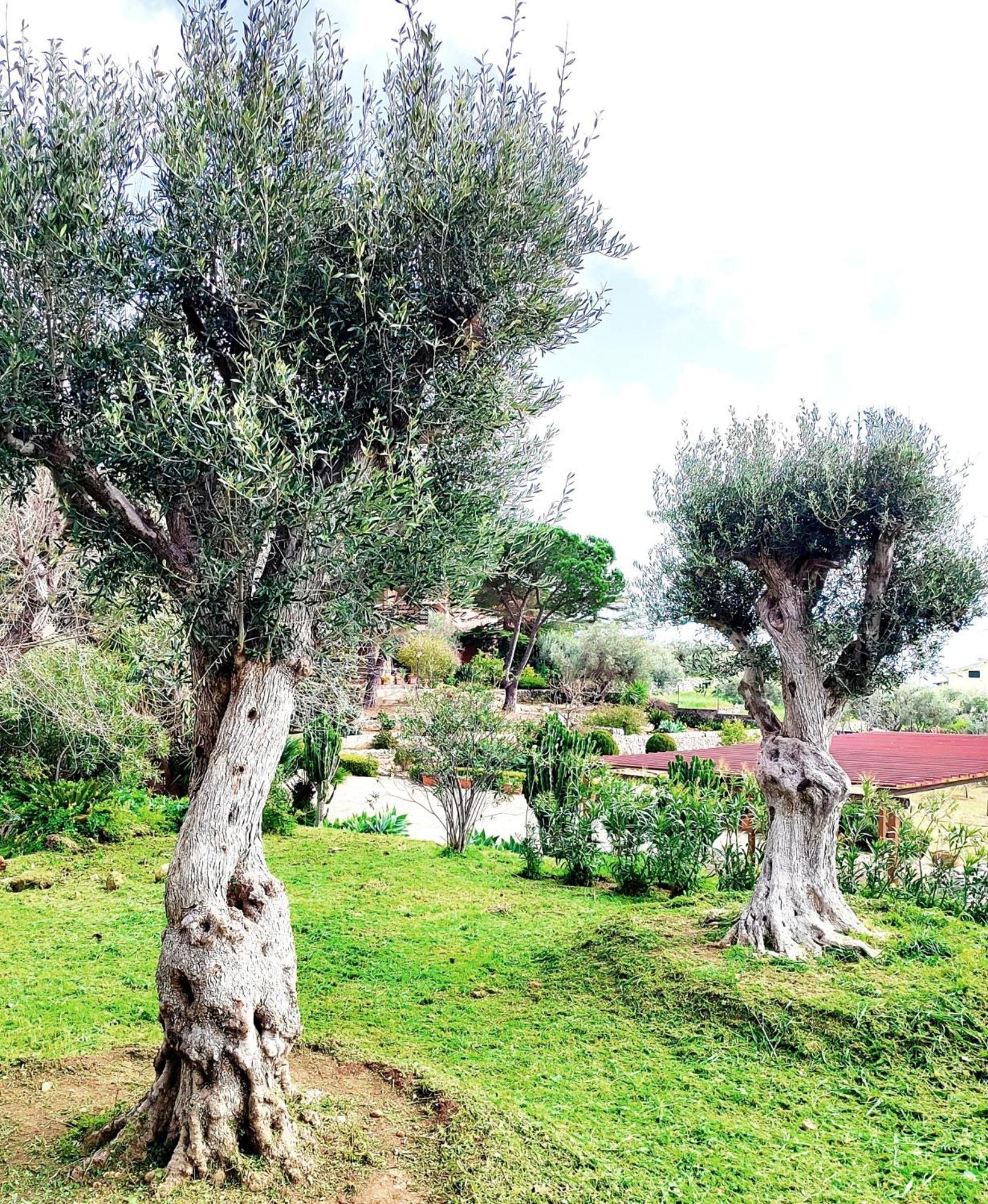 Villa Orizzonte Sullo Jonio Avola Eksteriør bilde